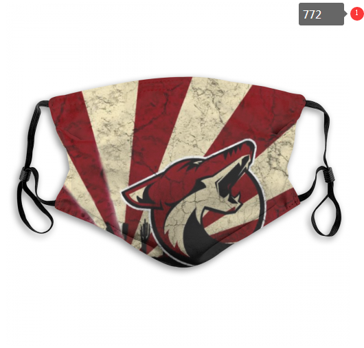 NHL Arizona Coyotes #3 Dust mask with filter
